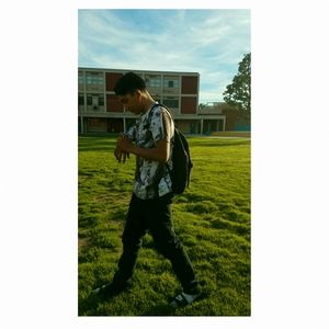 Meet your Posher, Hector